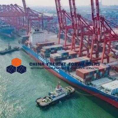 Logistiek Internationale scheepvaart Freight Forwarder van China naar Australië DDU/DDP