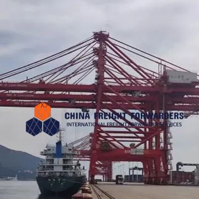 Global Carrier Freight Forwarder Logistiek Zeevaart van China naar het Verenigd Koninkrijk