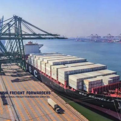 40GP 40HQ Zeevracht expediteur Zeevrachtdiensten van China naar de VS