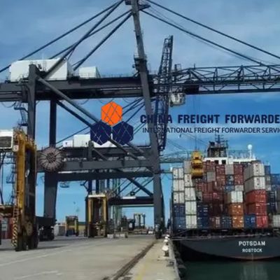 Snel zeefracht expediteur Verzending van een volledige container China naar Canada