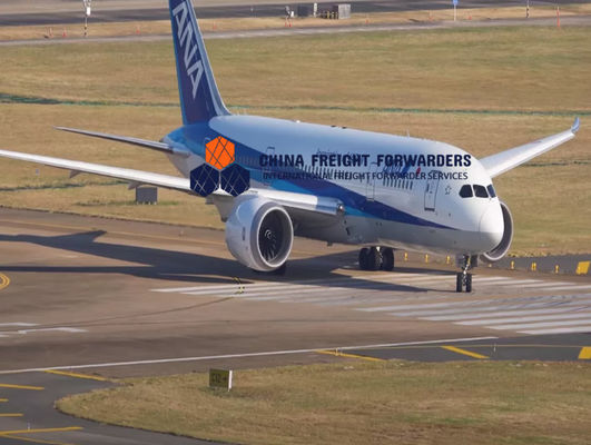 Snelere luchtvracht expediteur op maat van deur tot deur verzending uit China FIATA